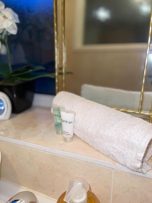 Stylish Cosy Studio Apartment Gravesend Ngoại thất bức ảnh